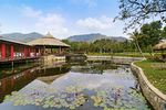 旅游度假村