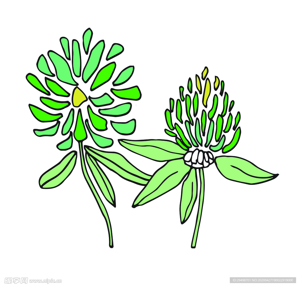花