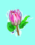 花