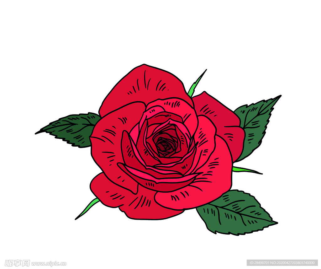 玫瑰花