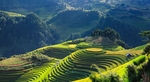 自然风景
