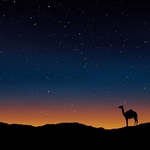夜空