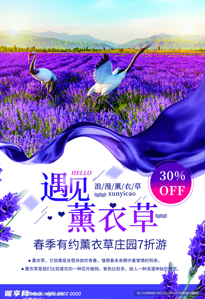 薰衣草海报 薰衣草