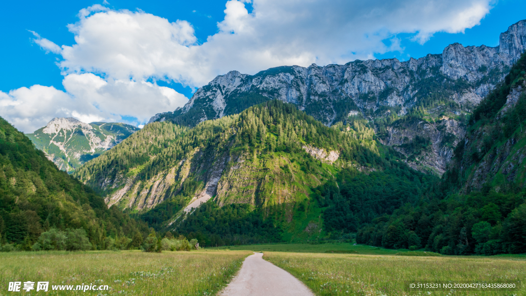 山