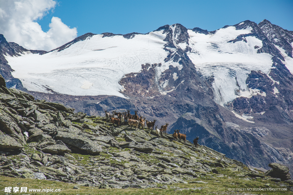 山