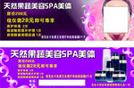 天然果蔬美容spa优惠卡