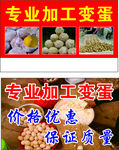 变蛋名片