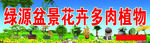 盆栽盆景