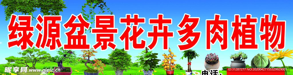 盆栽盆景