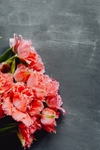 鲜花