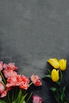 鲜花