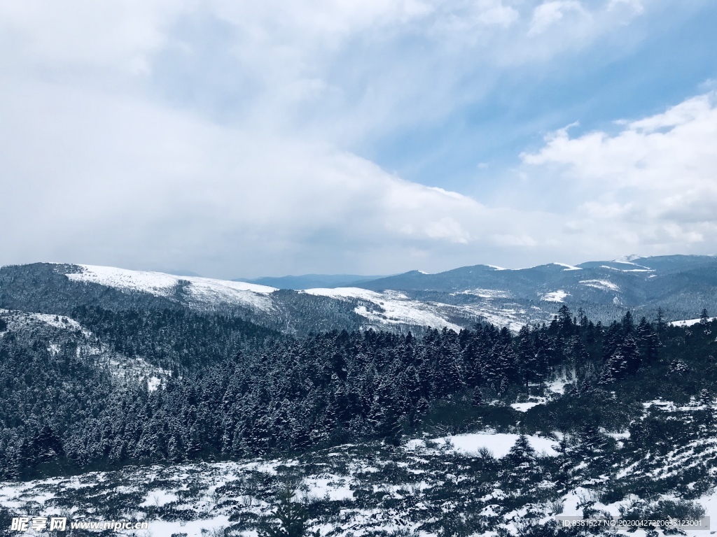 雪景