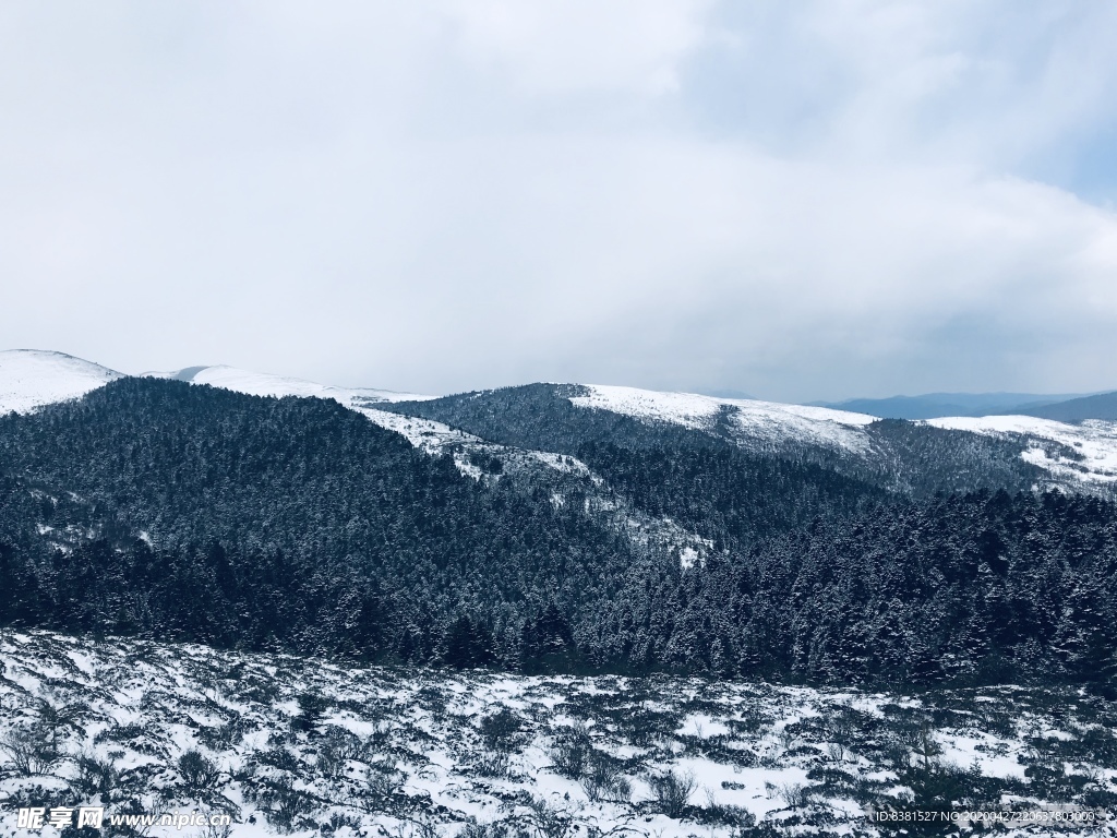风景雪
