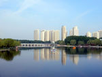 公园风景