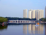 公园风景