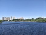 公园风景