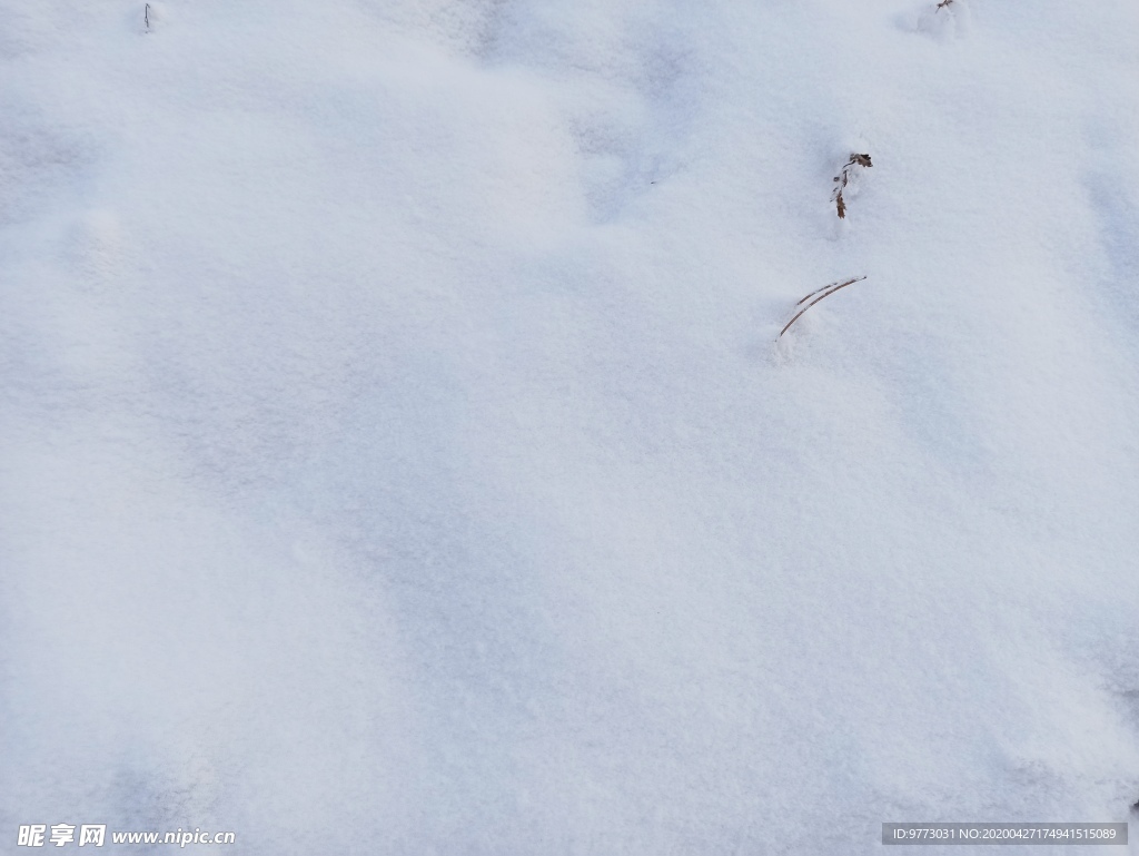 雪地
