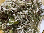山野菜