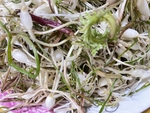 山野菜