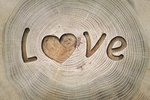 爱love