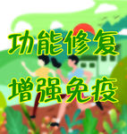 功能 修复 增强 免疫