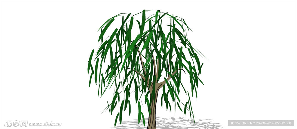 柳树