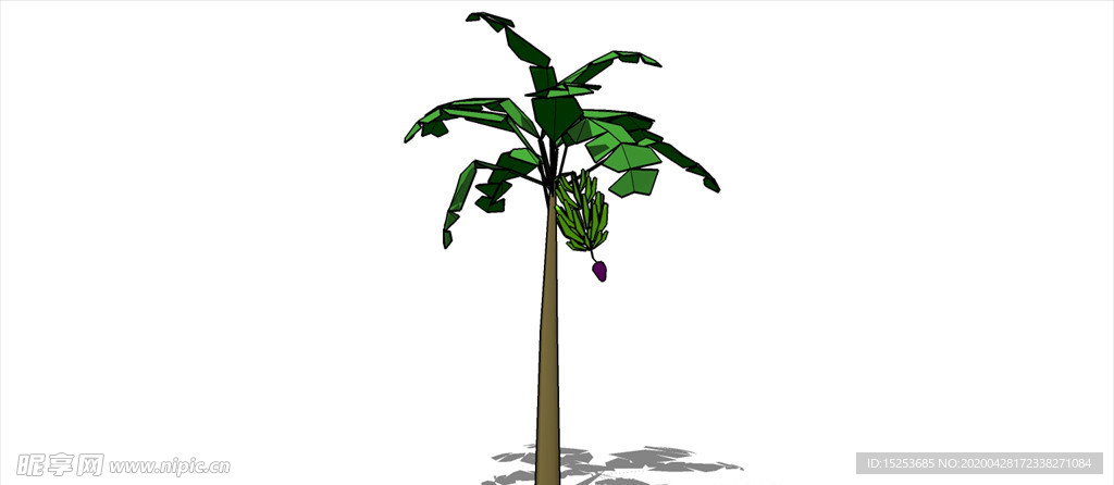 香蕉树模型
