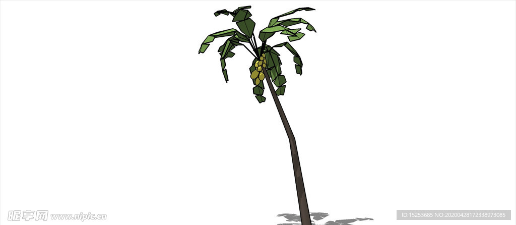 椰子树模型