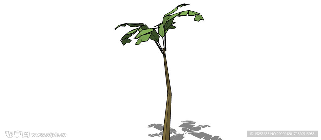 芭蕉树香蕉树模型