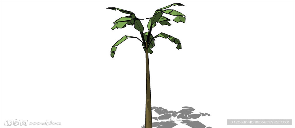 棕榈科植物