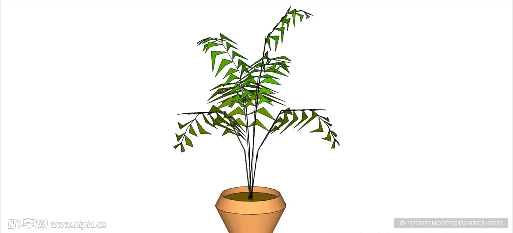 散尾葵植物模型