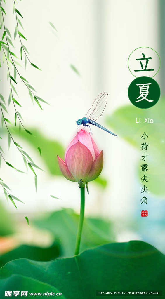 立夏