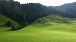 唯美风景