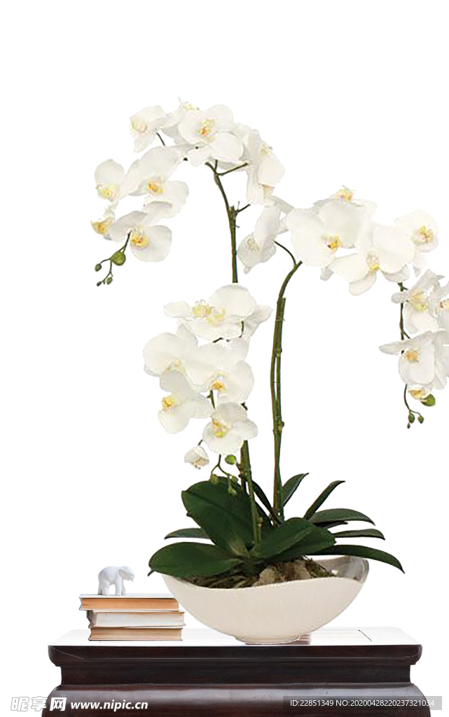 花艺