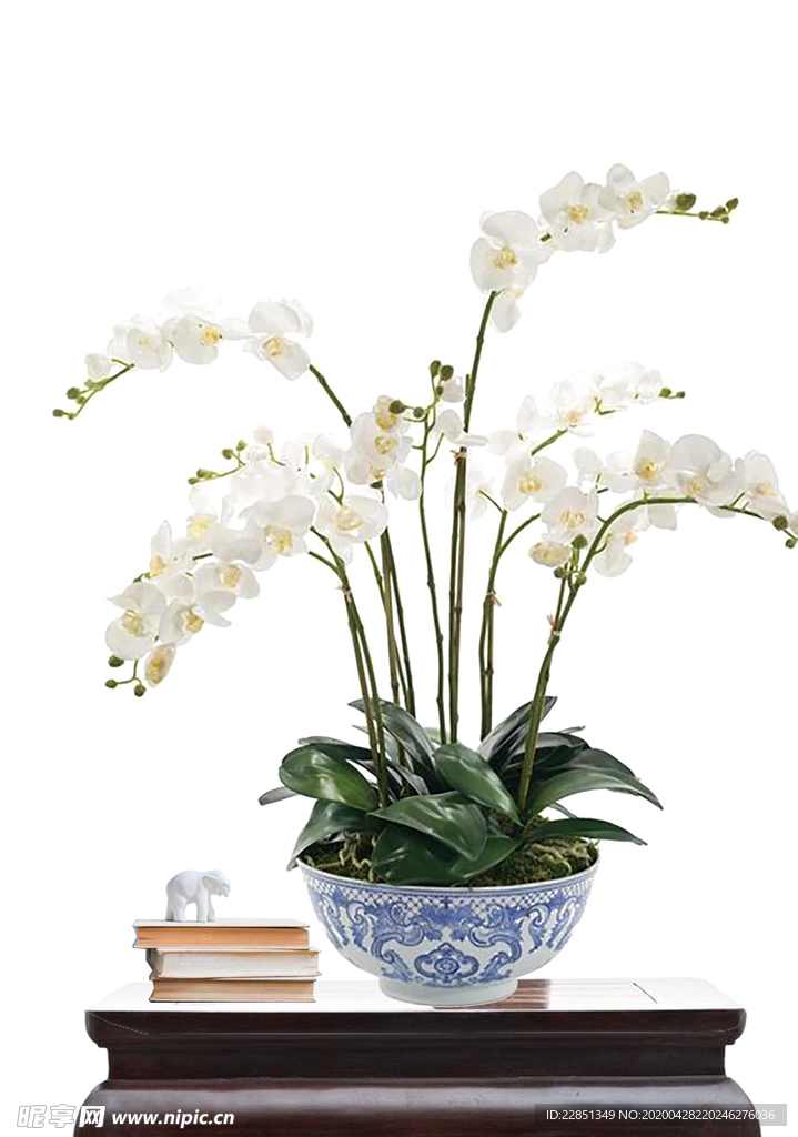 花艺