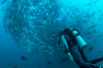 海底潜水