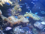 海底世界