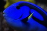 海底世界