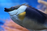 海底世界