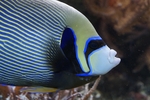 海底世界