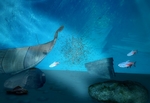 海底世界
