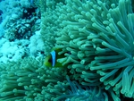 海底世界