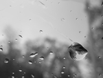 水珠