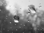 水珠