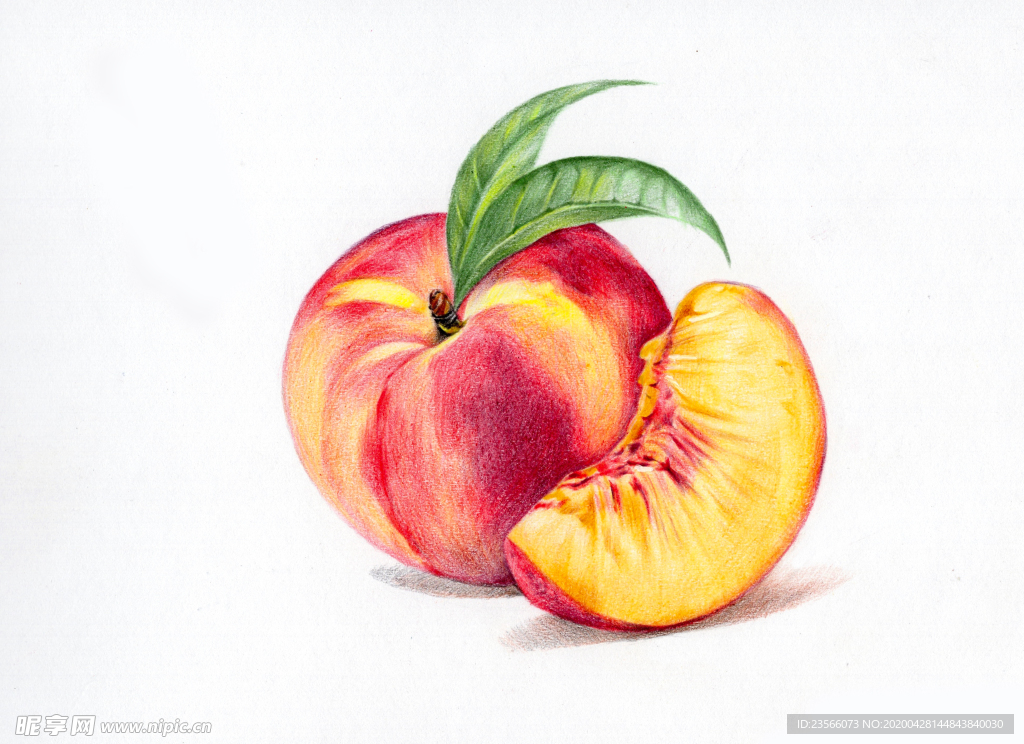 彩铅绘画水果桃子
