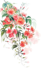 精美绘画植物花朵