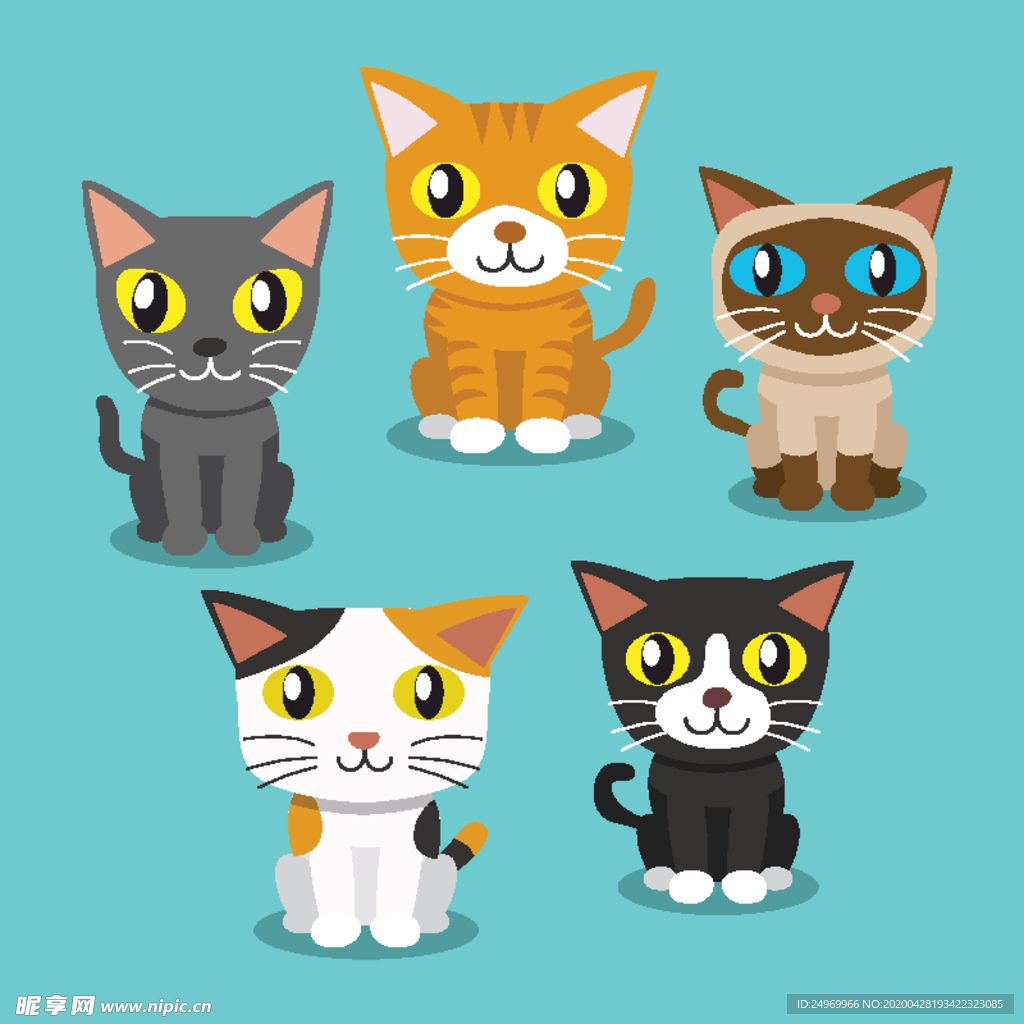 可爱小猫