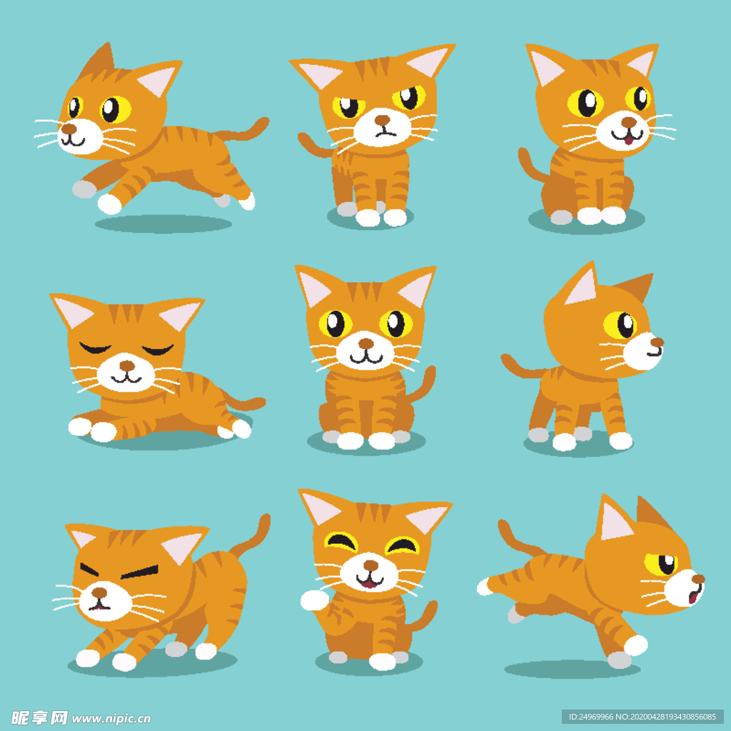 可爱小猫