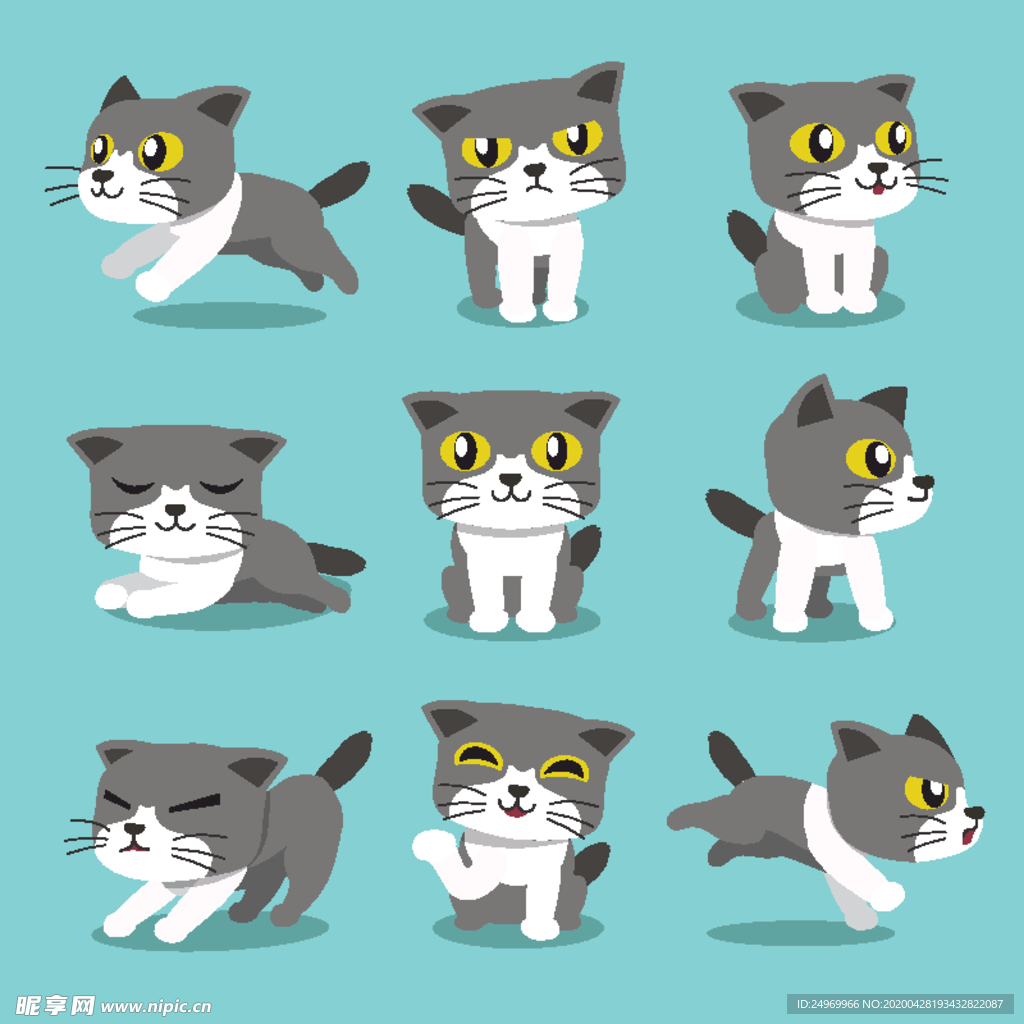 可爱小猫
