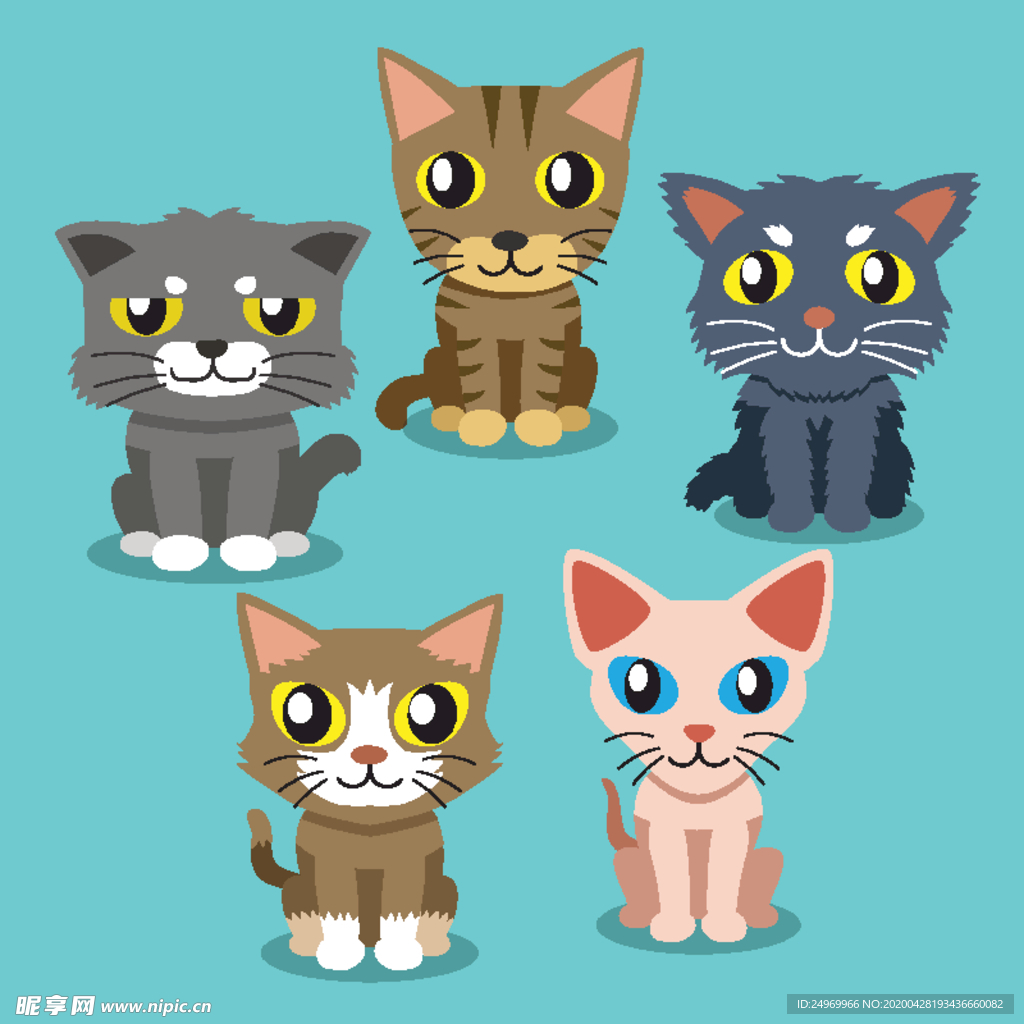 可爱小猫